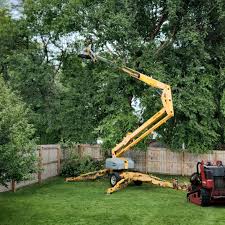 Best Lawn Watering Services  in Mcminnville, OR